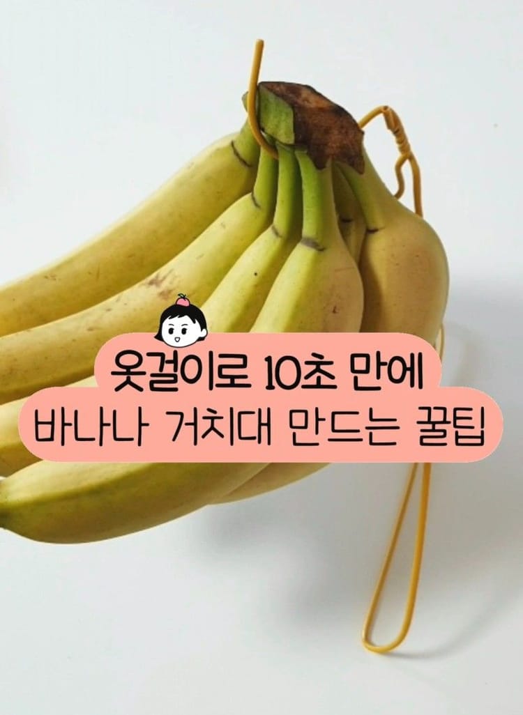 바나나를 더 신선하게! 옷걸이로 바나나 거치대 만드는 꿀팁